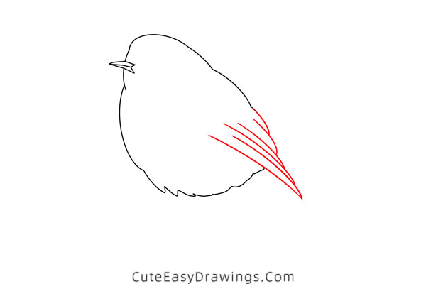 how to draw a robin - www.cuteeasydrawings.com