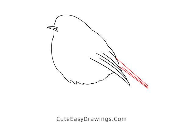 how to draw a robin - www.cuteeasydrawings.com