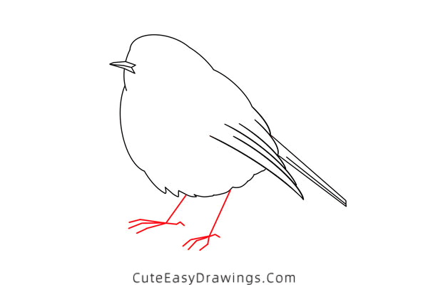 how to draw a robin - www.cuteeasydrawings.com