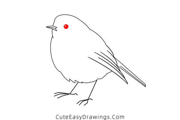 how to draw a robin - www.cuteeasydrawings.com