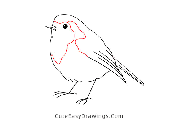 how to draw a robin - www.cuteeasydrawings.com