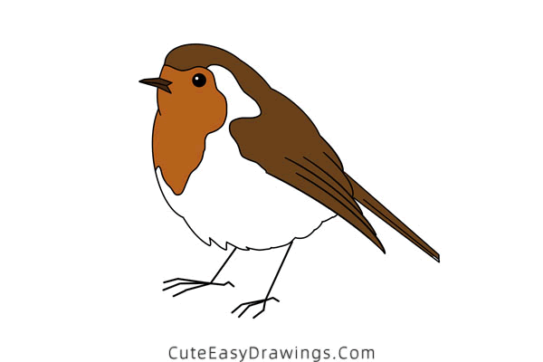 how to draw a robin - www.cuteeasydrawings.com