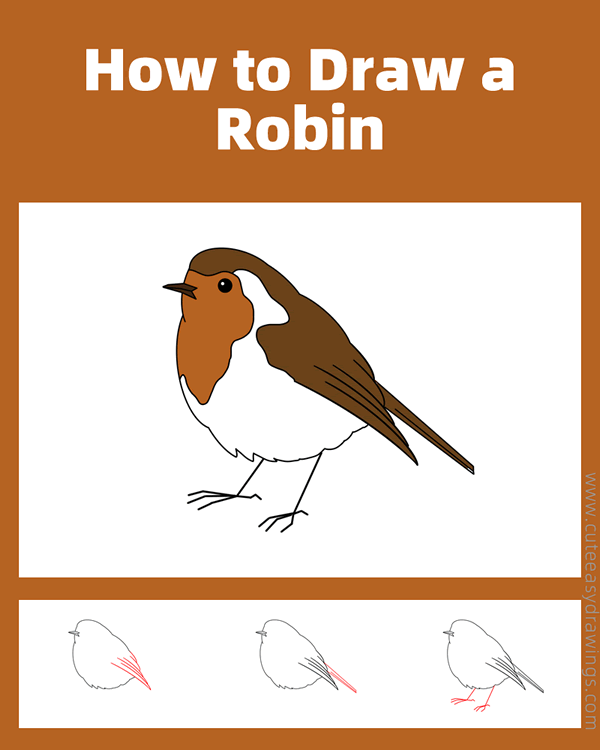 how to draw a robin - www.cuteeasydrawings.com