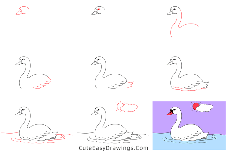 how to draw a swan in water - www.cuteeasydrawings.com