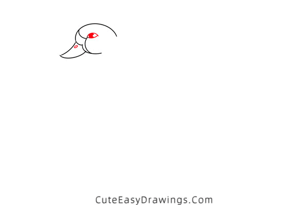 how to draw a swan in water - www.cuteeasydrawings.com