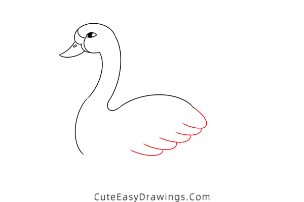 how to draw a swan in water - www.cuteeasydrawings.com