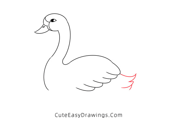 how to draw a swan in water - www.cuteeasydrawings.com