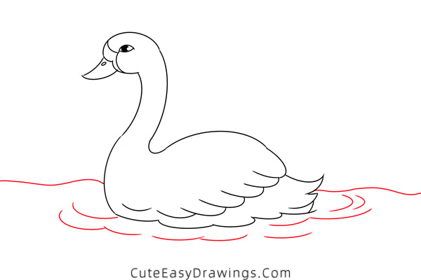 how to draw a swan in water - www.cuteeasydrawings.com