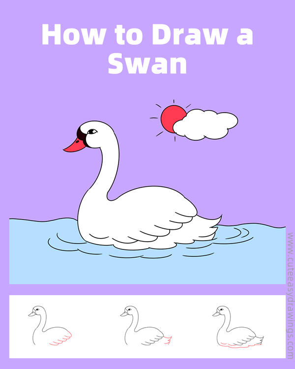 how to draw a swan in water - www.cuteeasydrawings.com