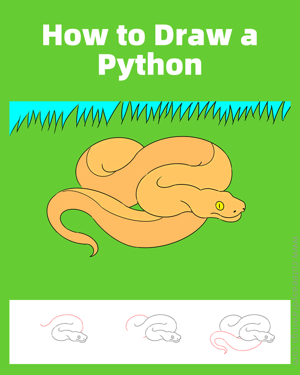 how to draw a python - www.cuteeasydrawings.com