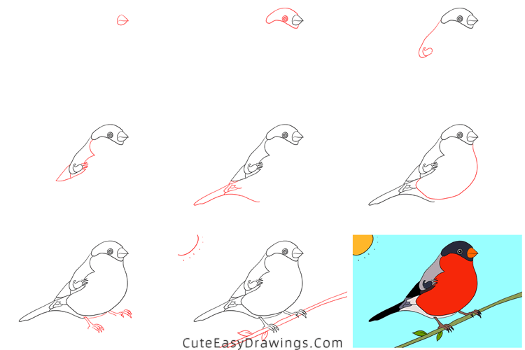 how to draw a bird - www.cuteeasydrawings.com