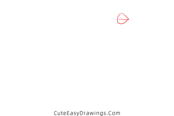 how to draw a bird - www.cuteeasydrawings.com