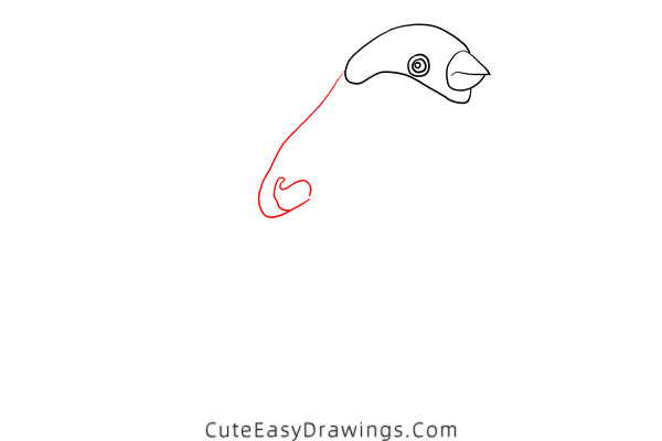 how to draw a bird - www.cuteeasydrawings.com