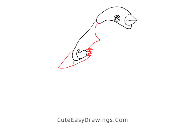 how to draw a bird - www.cuteeasydrawings.com