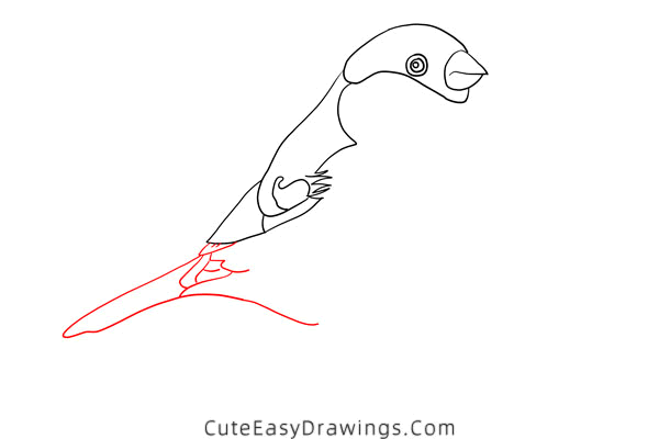 how to draw a bird - www.cuteeasydrawings.com