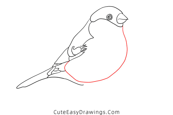 how to draw a bird - www.cuteeasydrawings.com