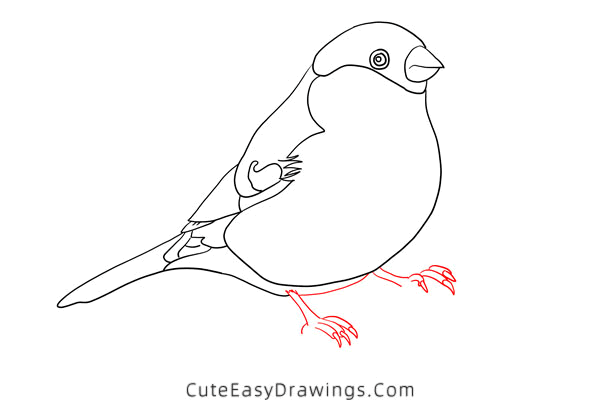 how to draw a bird - www.cuteeasydrawings.com