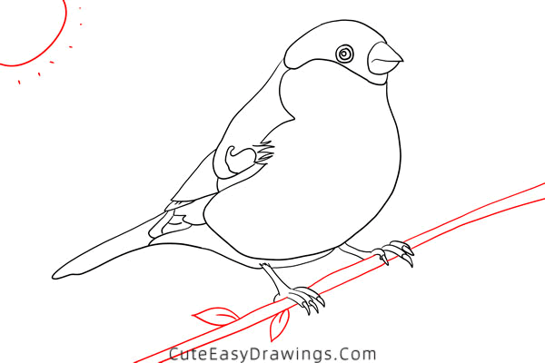 how to draw a bird - www.cuteeasydrawings.com