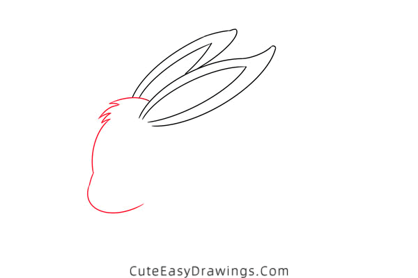 how to draw a bunny - www.cuteeasydrawings.com