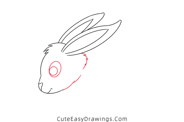 how to draw a bunny - www.cuteeasydrawings.com