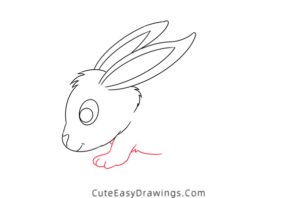 how to draw a bunny - www.cuteeasydrawings.com