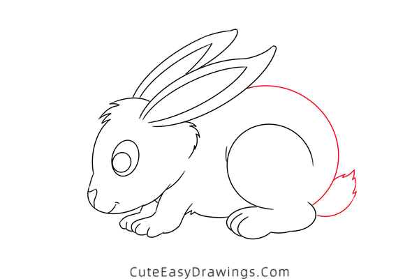 how to draw a bunny - www.cuteeasydrawings.com