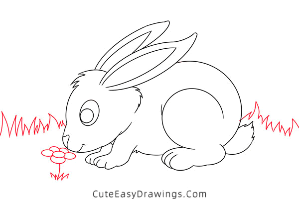 how to draw a bunny - www.cuteeasydrawings.com