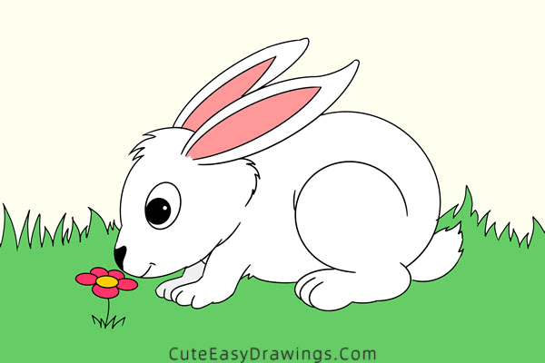 how to draw a bunny - www.cuteeasydrawings.com