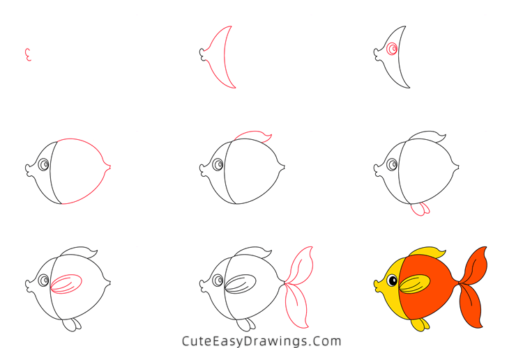 how to draw a goldfish - www.cuteeasydrawings.com