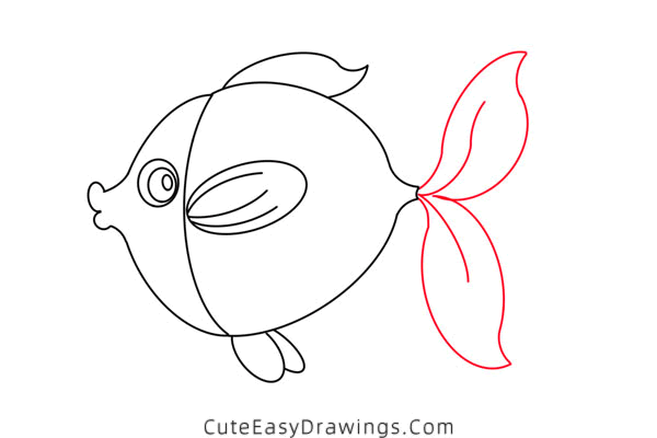 how to draw a goldfish - www.cuteeasydrawings.com