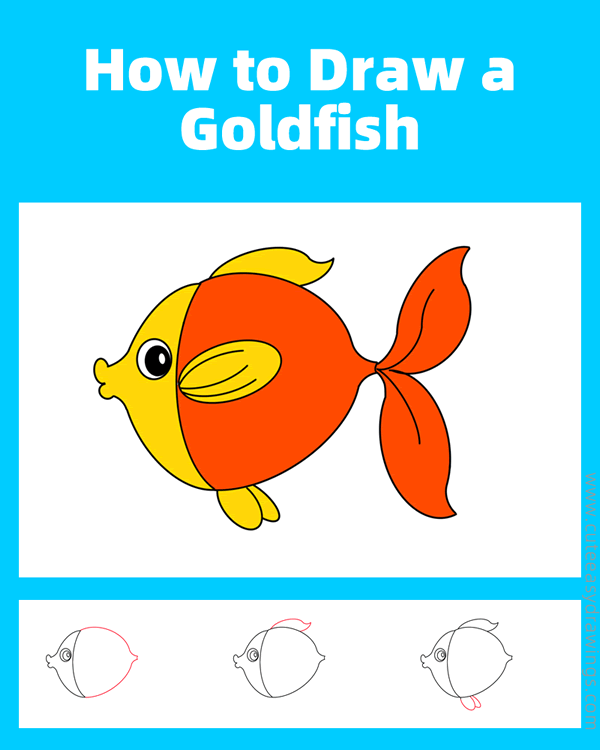 how to draw a goldfish - www.cuteeasydrawings.com