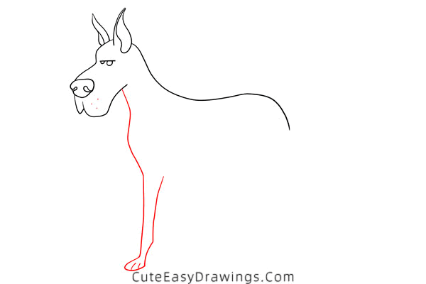 how to draw a great dane - www.cuteeasydrawings.com