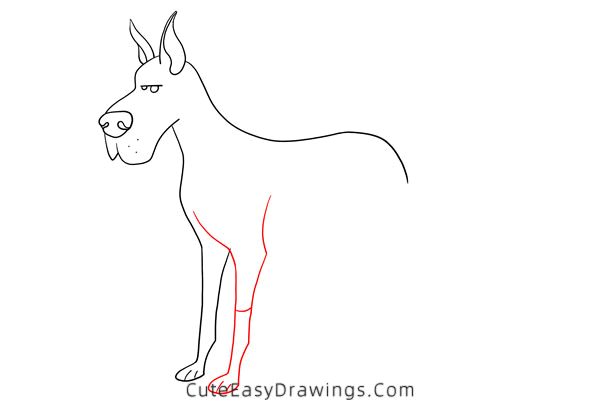 how to draw a great dane - www.cuteeasydrawings.com