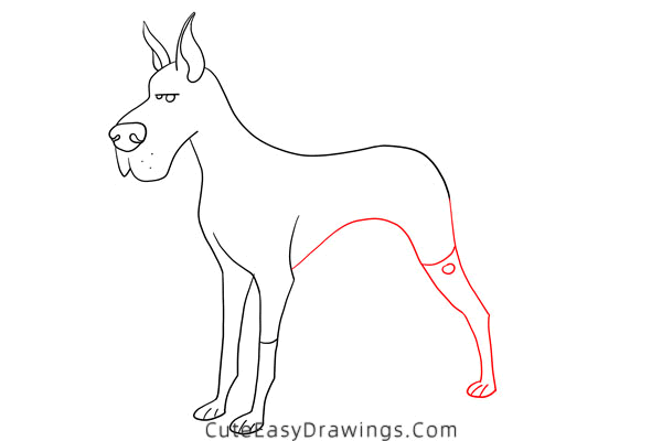 how to draw a great dane - www.cuteeasydrawings.com