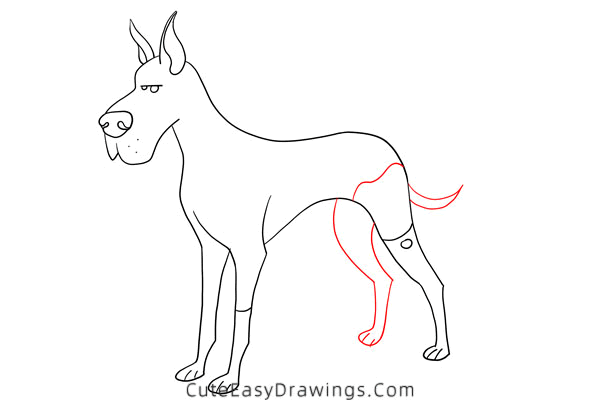 how to draw a great dane - www.cuteeasydrawings.com