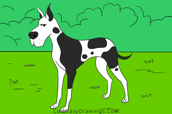 how to draw a great dane - www.cuteeasydrawings.com