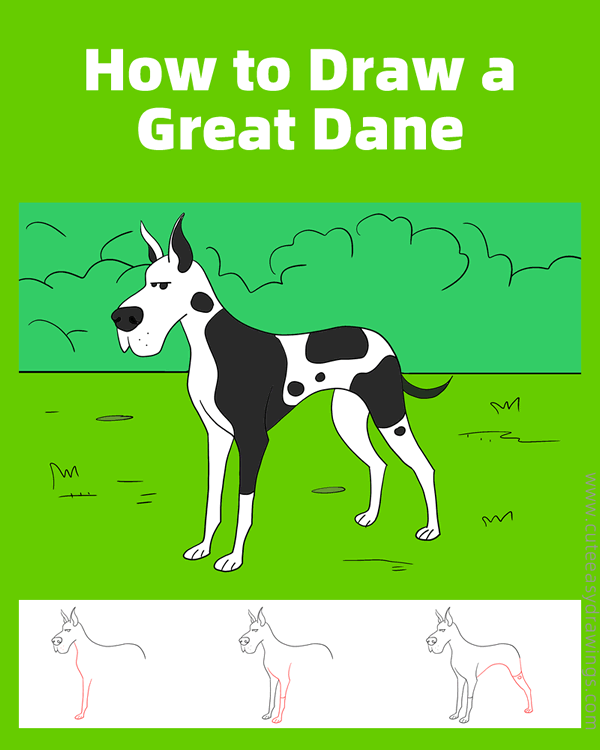 How to Draw a Great Dane Step by Step Cute Easy Drawings