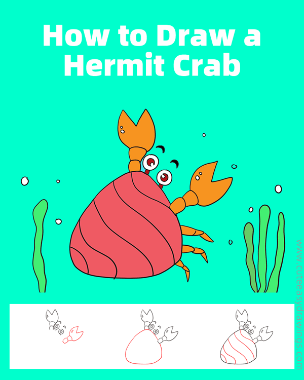 how to draw a hermit crab - www.cuteeasydrawings.com