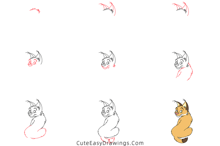 how to draw a lynx - www.cuteeasydrawings.com