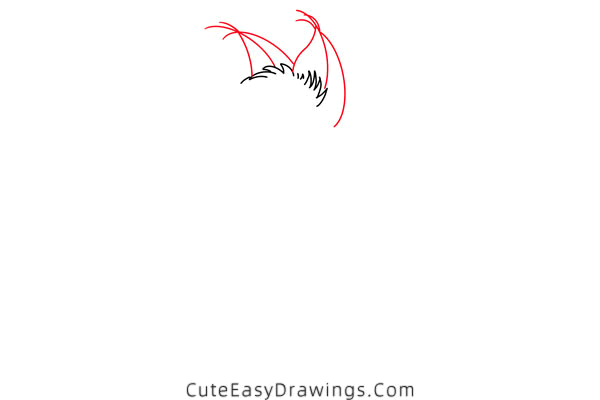 how to draw a lynx - www.cuteeasydrawings.com