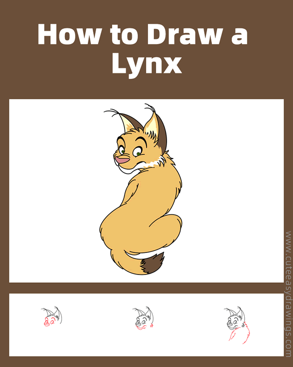 how to draw a lynx - www.cuteeasydrawings.com