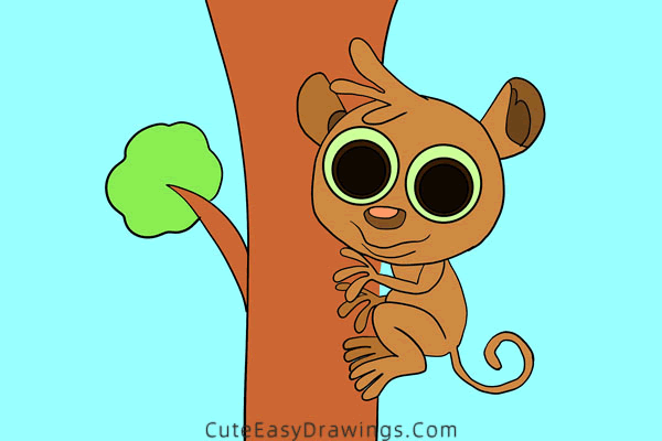 how to draw a tarsier - www.cuteeasydrawings.com