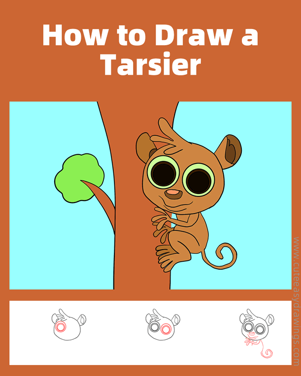 how to draw a tarsier - www.cuteeasydrawings.com