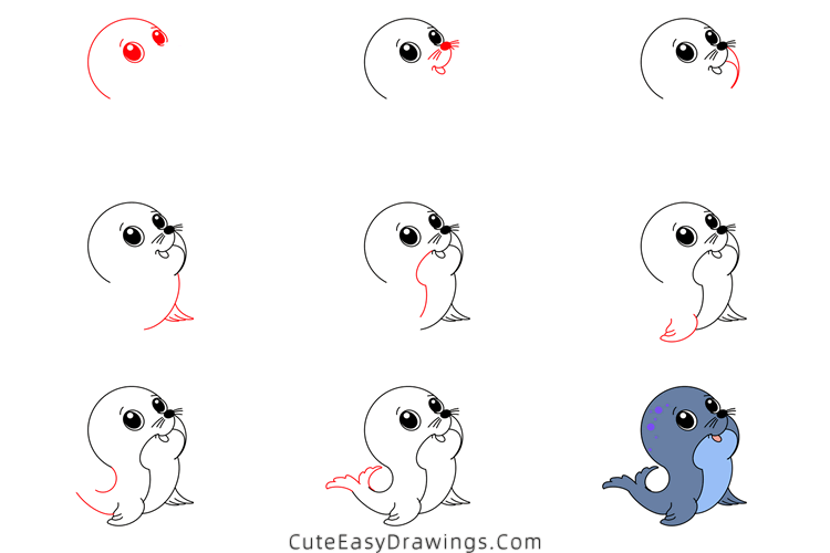 how to draw a cute sea lion - www.cuteeasydrawings.com