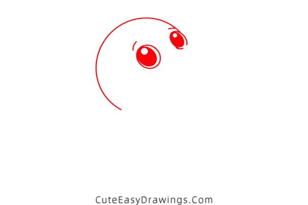 how to draw a cute sea lion - www.cuteeasydrawings.com