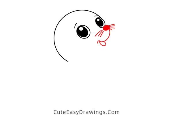 how to draw a cute sea lion - www.cuteeasydrawings.com