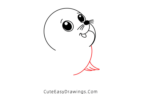 how to draw a cute sea lion - www.cuteeasydrawings.com