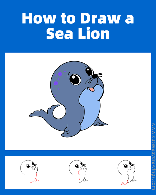 how to draw a cute sea lion - www.cuteeasydrawings.com