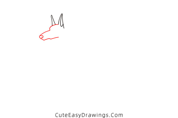 how to draw a doberman - www.cuteeasydrawings.com