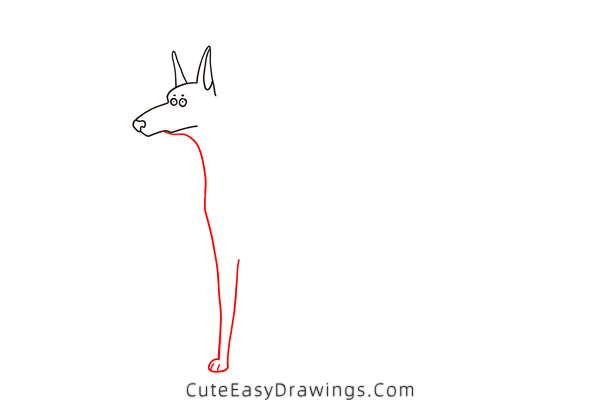 how to draw a doberman - www.cuteeasydrawings.com